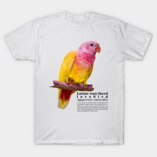 Lutino rosy-faced lovebird black text T-Shirt